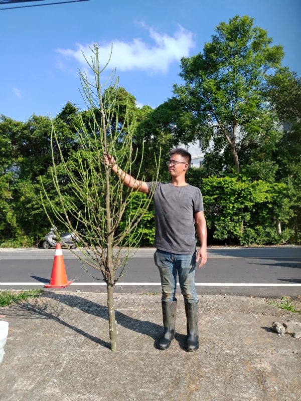 jeff的第二张照片--武夷山婚介网